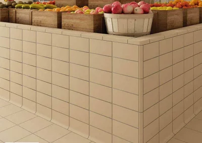 Exagres Proyect кислотоупорная плитка 6