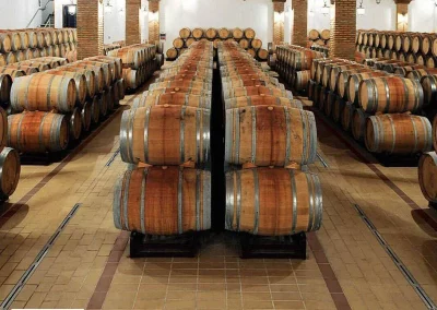 Exagres Proyect кислотоупорная плитка 9