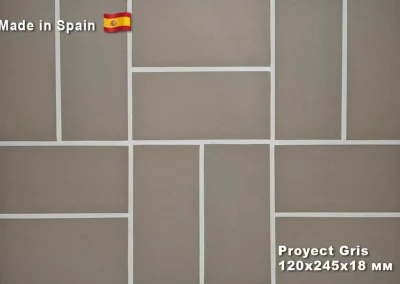 proyect_gris-optimized