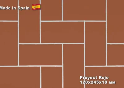 proyect_rojo-optimized