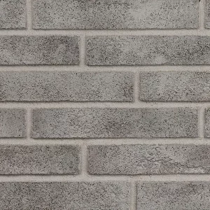 Минеральный кирпич Wandermode Armschwung AZ010LDF50 Weibes Mus рядовой 290x50x50 мм