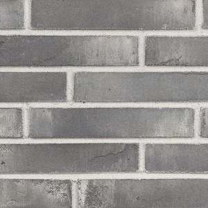 Минеральный кирпич Wandermode Armschwung AZ020LDF50 Aschgrau рядовой 290x50x50 мм