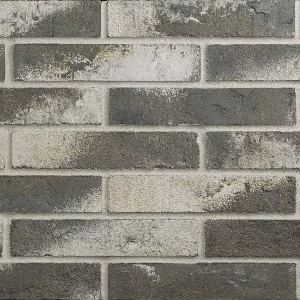 Минеральный кирпич Wandermode Armschwung AZ030DF50 Weibe Asche рядовой 240x50x50 мм