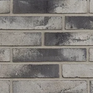 Минеральный кирпич Wandermode Armschwung AZ030LDF85 Weibe Asche рядовой 290x50x85 мм