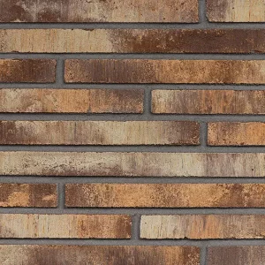 Минеральный кирпич Wandermode Armschwung AZ040R50 Sandburg рядовой 500x40x50 мм