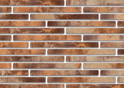 Минеральный кирпич Wandermode Armschwung AZ040R50 Sandburg рядовой 500x40x50 мм 3