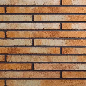 Минеральный кирпич Wandermode Armschwung AZ050R85 Feurige Lava рядовой 500x40x85 мм