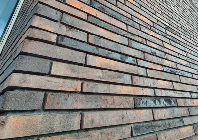 Минеральный кирпич Wandermode Armschwung AZ060R50 Nachtsfeuer рядовой 500x40x50 мм 4