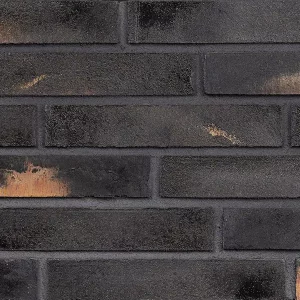 Минеральный кирпич Wandermode Armschwung AZ090LDF50 Schwarzes Feuer рядовой 290x50x50 мм