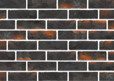 Минеральный кирпич Wandermode Armschwung AZ090NF55 Schwarzes Feuer рядовой 240x71x55 мм 3