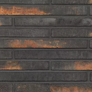 Минеральный кирпич Wandermode Armschwung AZ090R50 Schwarzes Feuer рядовой 500x40x50 мм