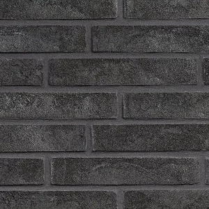 Минеральный кирпич Wandermode Armschwung AZ100LDF85 Schwarzer Samt рядовой 290x50x85 мм