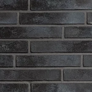 Минеральный кирпич Wandermode Armschwung AZ110LDF50 Schwarze Lava рядовой 290x50x50 мм