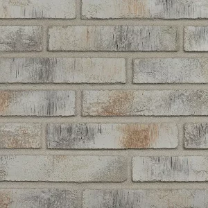 Минеральный кирпич Wandermode Armschwung AZ120DF50 Rauchwolke рядовой 240x50x50 мм