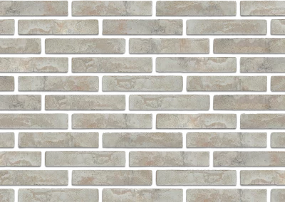 Минеральный кирпич Wandermode Armschwung AZ120LDF85 Rauchwolke рядовой 290x50x85 мм 3