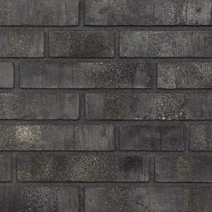 Минеральный кирпич Wandermode Armschwung AZ140DF85 Meeresglanz рядовой 240x50x85 мм