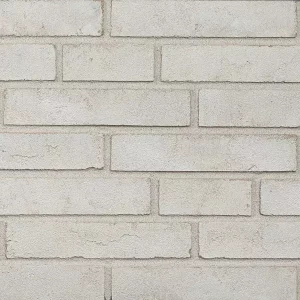Минеральный кирпич Wandermode Armschwung AZ150DF50 Weibe Seide рядовой 240x50x50 мм