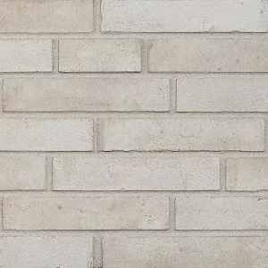 Минеральный кирпич Wandermode Armschwung AZ160DF50 Weiber Samt рядовой 240x50x50 мм