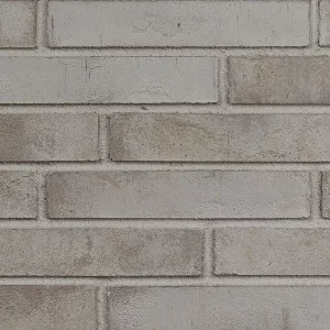 Минеральный кирпич Wandermode Armschwung AZ160LDF85 Weiber Samt рядовой 290x50x85 мм