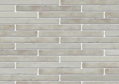 Минеральный кирпич Wandermode Armschwung AZ160R85 Weiber Samt рядовой 500x40x85 мм 3