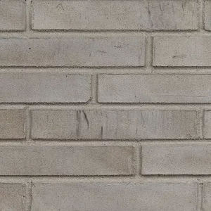 Минеральный кирпич Wandermode Armschwung AZ170LDF85 Wind рядовой 290x50x85 мм