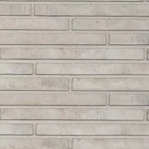 Минеральный кирпич Wandermode Armschwung AZ170R50 Wind рядовой 500x40x50 мм