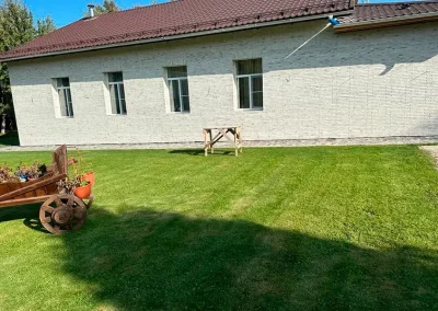 Минеральный кирпич Wandermode Armschwung AZ170R50 Wind рядовой 500x40x50 мм 4