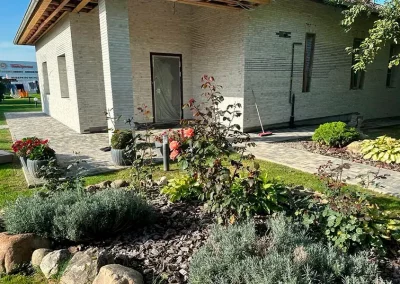 Минеральный кирпич Wandermode Armschwung AZ170R50 Wind рядовой 500x40x50 мм 5