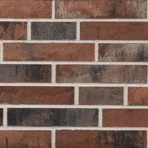 Минеральный кирпич Wandermode Armschwung AZ180DF85 Farbiger Sturm рядовой 240x50x85 мм