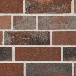 Минеральный кирпич Wandermode Armschwung AZ180NF55 Farbiger Sturm рядовой 240x71x55 мм