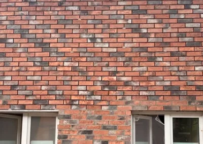 Минеральный кирпич Wandermode Armschwung AZ180NF55 Farbiger Sturm рядовой 240x71x55 мм 3