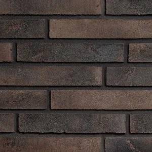 Минеральный кирпич Wandermode Armschwung AZ190LDF50 Gottlicher Weinrot рядовой 290x50x50 мм