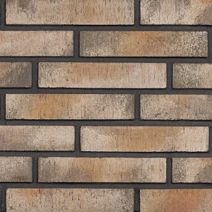 Минеральный кирпич Wandermode Armschwung AZ220DF85 Zeitloser Sand рядовой 240x50x85 мм