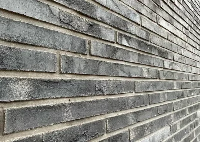 Минеральный кирпич Wandermode Design DZ141R50 Befriedung рядовой 500x40x50 мм 3