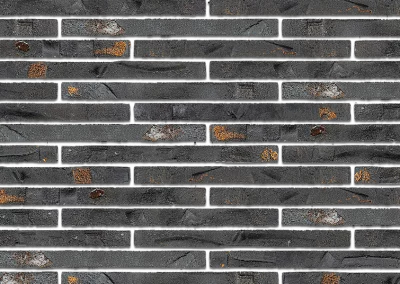 Минеральный кирпич Wandermode Gestalt GZ200R50 Goldenes Mantra рядовой 500x40x50 мм 4