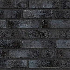 Минеральный кирпич Wandermode Kosmische KZ110RF120 Schwarze Lava рядовой 250x65x120 мм