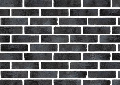 Минеральный кирпич Wandermode Kosmische KZ110RF120 Schwarze Lava рядовой 250x65x120 мм 3