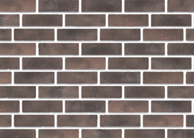 Минеральный кирпич Wandermode Kosmische KZ190WDF85 Gottlicher Weinrot рядовой 215x65x85 мм 3