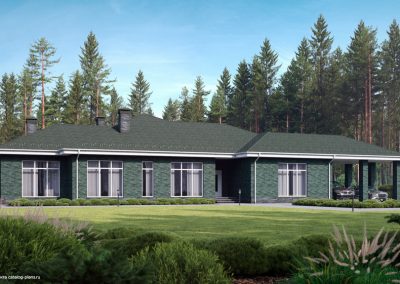 Кирпич облицовочный Plinfa Cassia 1613, 300x85x50 мм 2