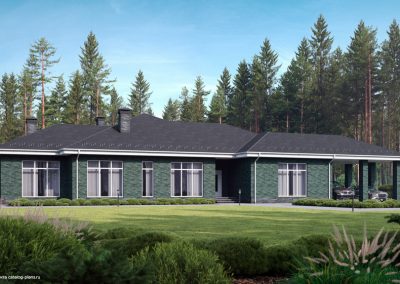 Кирпич облицовочный Plinfa Cassia 1613, 300x85x50 мм 3