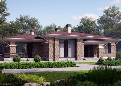 Кирпич облицовочный Plinfa Cassia 1803, 300x85x50 мм 2