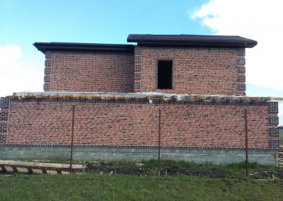 Кирпич облицовочный Тандем Вельяминово, 215x50x65 мм 6