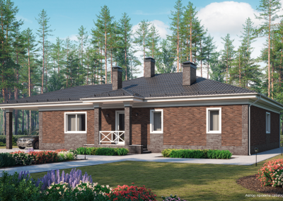 Клинкерный кирпич Plinfa Iron 2305, 215x102x65 мм 9