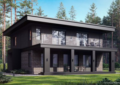 Клинкерный кирпич Plinfa Iron 2715, 270x85x50 мм 3