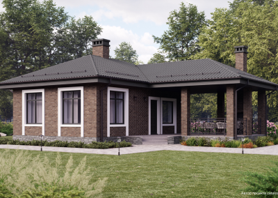 Клинкерный кирпич Plinfa Iron 2807, 215x102x65 мм 9