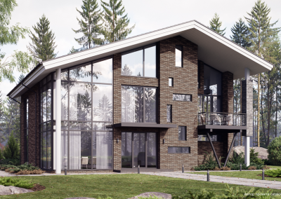 Клинкерный кирпич Plinfa Iron 2809, 270x85x50 мм 4