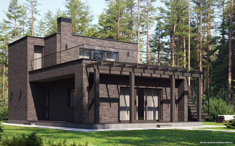 Клинкерный кирпич полнотелый Plinfa Iron 2804, 270x85x50 мм