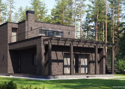 Клинкерный кирпич полнотелый Plinfa Iron 2804, 270x85x50 мм 14