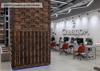 Клинкерный кирпич пустотелый Plinfa Iron 2302, 270x85x50 мм 21